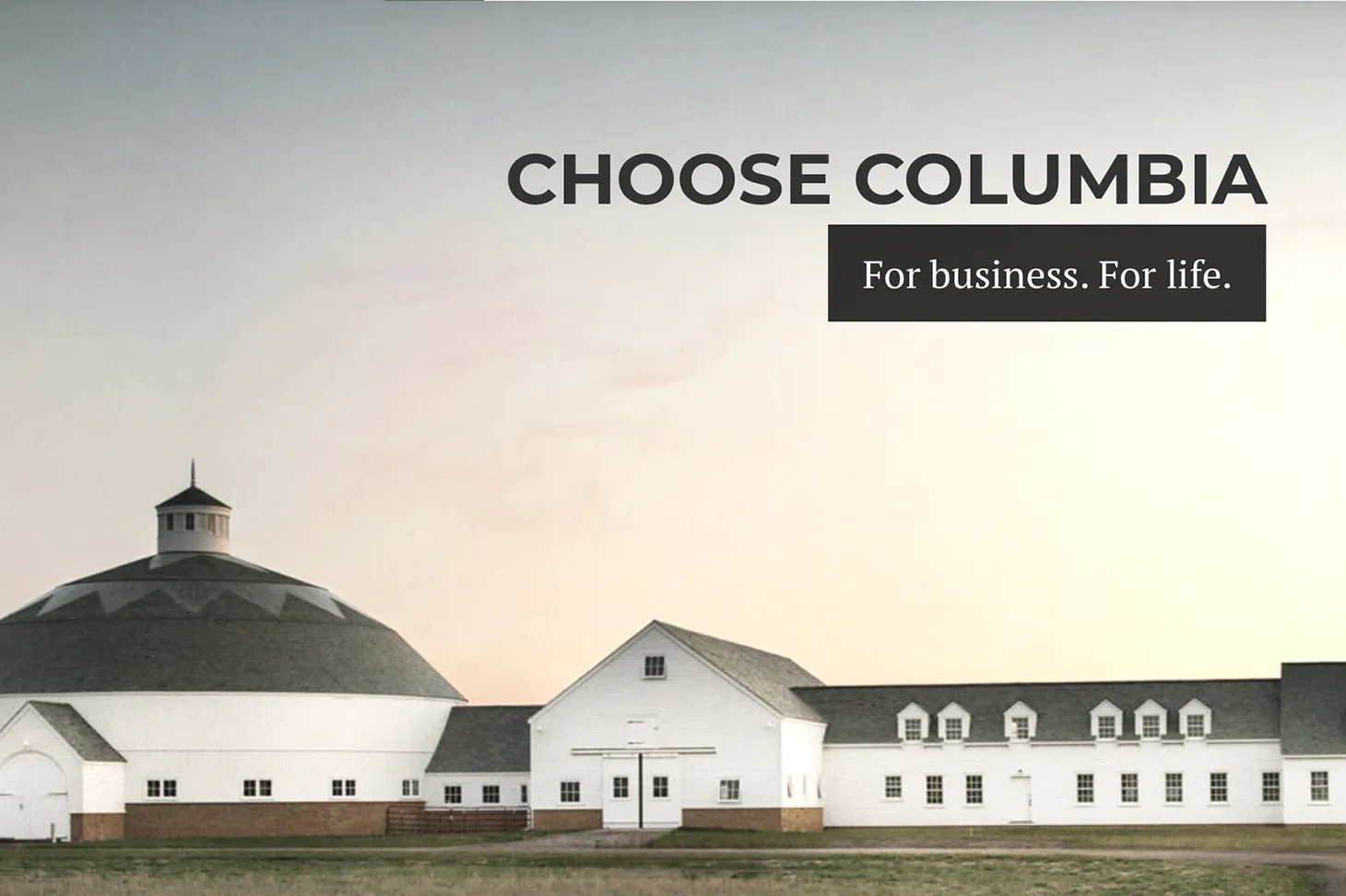 Job: President & CEO of Columbia Economic Development Corp (New York)